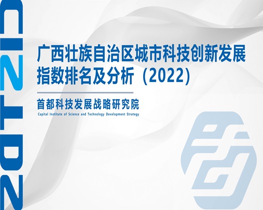 我爱大鸡巴插射精品【成果发布】广西壮族自治区城市科技创新发展指数排名及分析（2022）